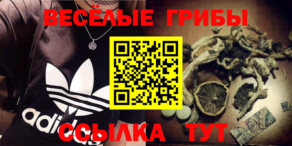 Галлюциногенные грибы прущие грибы  купить наркотик  Вход с VPN  Асино  Галлюциногенные грибы MAGIC MUSHROOMS 